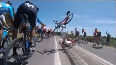 Organisme marin fossile du d&eacute;but de l'&egrave;re primaire !