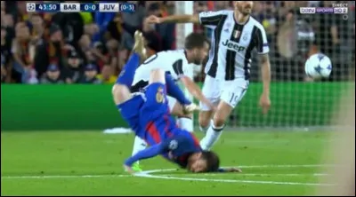 Petit gallinac&eacute; sauvage des bois, pr&eacute;sent dans 21 d&eacute;partements fran&ccedil;ais, tr&egrave;s peu chass&eacute; et pourtant en danger !