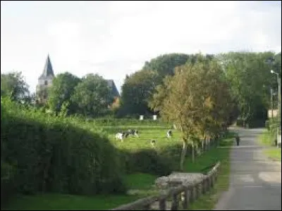 Nous terminons notre balade dans les Hauts-de-France, &agrave; Wailly-Beaucamp. Commune de l'arrondissement de Montreuil-sur-Mer, elle se trouve dans le d&eacute;partement ...