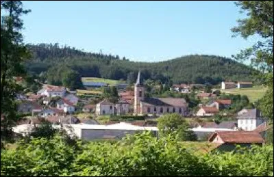 Voici une vue de L&eacute;panges-sur-Vologne. Village du Grand-Est tristement connu pour l'affaire Gr&eacute;gory, il se situe dans le d&eacute;partement ...