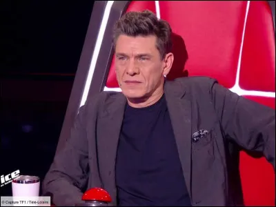 Avec qui n'est-il coach de The Voice 2020 ?