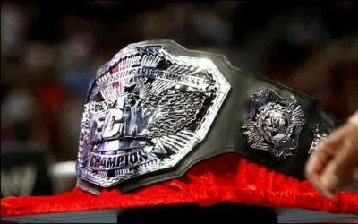 Quelle est cette ceinture ?