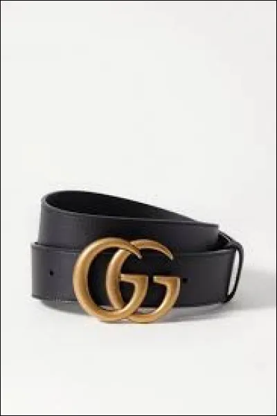 Quelle couleur ne trouve-t-on pas sur le logo de Gucci ?