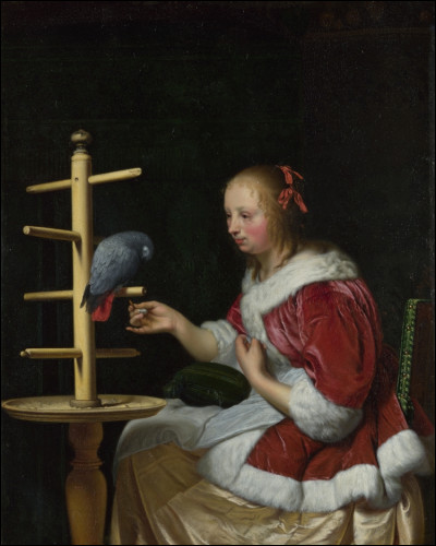 Quel peintre hollandais du XVIIe a réalisé le tableau "Femme en veste rouge avec perroquet" ?