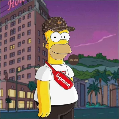 Quelle est la marque de la casquette d'Homer ?