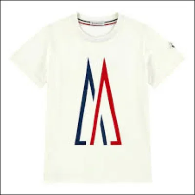 Sur ce t-shirt on peut voir le logo de :