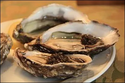 Où le sturio était-il principalement connu ?