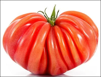 Ceci est une tomate cur de buf ou plutôt une tomate cerise ?