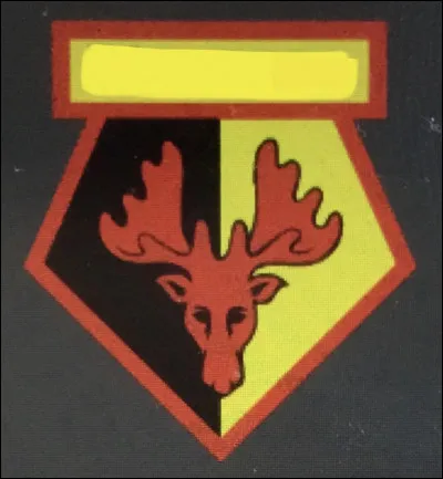 Quelle est cette équipe ?