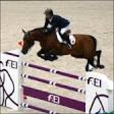 Quelles sont les 3 phases du saut ?