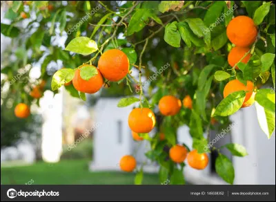 Un indice : La photo. Sa véritable identité : André Raimbourg !