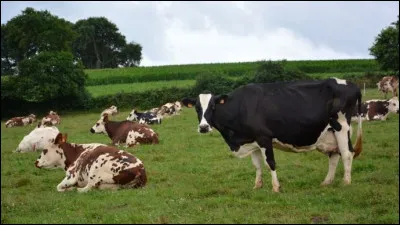 Sa véritable identité est Annie Gautrot. C'est dans un duo qu'elle débuta sa carrière, les succès ne tardèrent pas, et il m'arrive souvent de fredonner la chanson représentée par la photo !