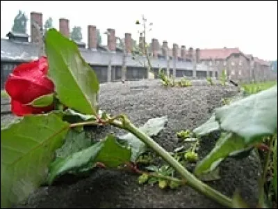 Quelle femme française célèbre a survécu à 13 mois de détention à Auschwitz et à la marche de la mort à Bergen-Belsen ?