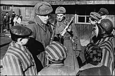 Quelle armée a libéré le camp en 1945 ?