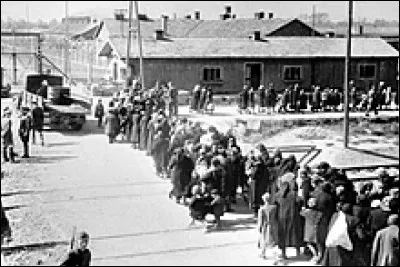À leur arrivée, les déportés étaient triés !
La plupart des femmes, des personnes âgées, des enfants et les malades devaient suivre le rang de gauche vers...