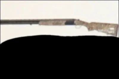 Quelle est cette arme ?