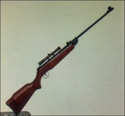 Quelle est cette arme ?