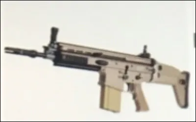 Quelle est cette arme ?