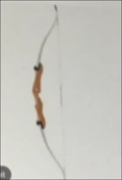 Quelle est cette arme ?