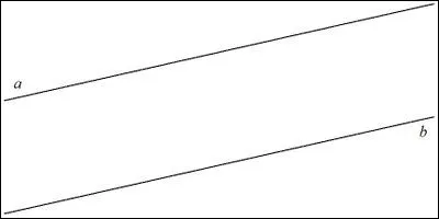 Ces deux droites sont clairement...