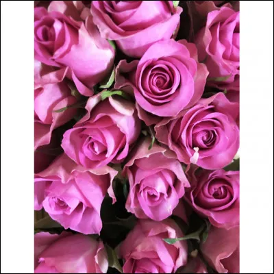 Ce rose est d'une tr&egrave;s belle couleur...