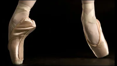 Les danseuses d'un certain niveau ont des chaussons un peu spéciaux, qui tiennent sur le bout. Quel est leur nom ?