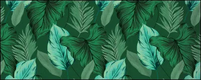 Comment s'appelle ce végétal ?