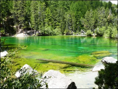 Le vert est une couleur...