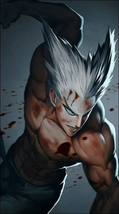 Parmi ces héros de classe S, lequel ne s'est pas fait attaquer par Garoh ?