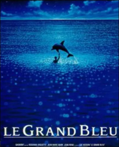 Éric Serra, compositeur de la musique du "Grand bleu", partira en tournée pour rejouer la bande originale. Mais qu'aura le concert de particulier ?