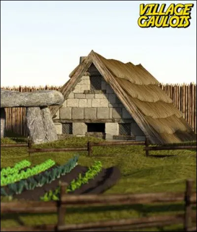 Dans quelle BD un petit village gaulois résiste-t-il à l' envahisseur romain ?