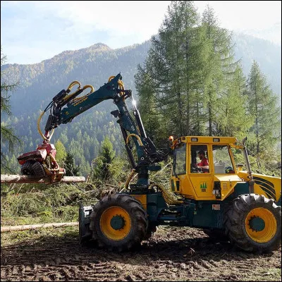 Le Triage forestier SA est une ...