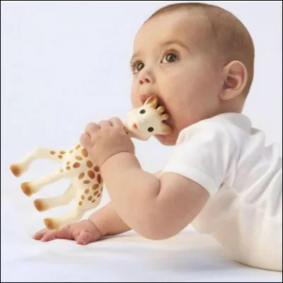 L'entreprise de la question précédente a racheté la société Delacoste en 1987.