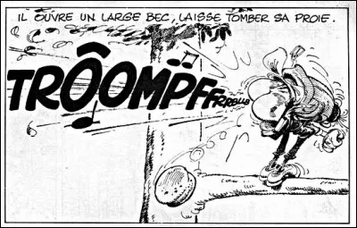 Et nous ressortons les trompettes pour affirmer : « New York est plus au sud que... »