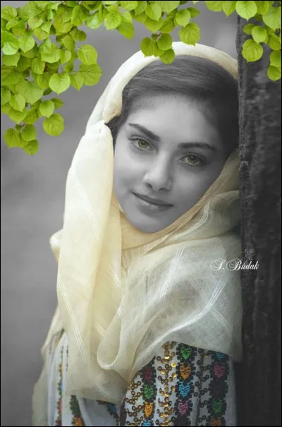 Complétez les paroles de la chanson de Renaud : "Petite fille afghane, de l'autre côté..."