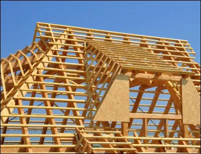 Complétez la phrase avec le verbe au futur antérieur de l'indicatif : "Dans trois semaines, ils ... la charpente" ?