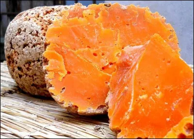 Quel fromage hollandais apercevons-nous ici ?