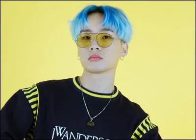 Qui est cet artiste né en 1996 ?