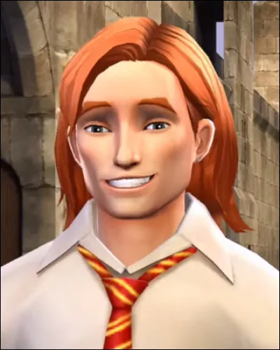 Qui est ce Weasley ?