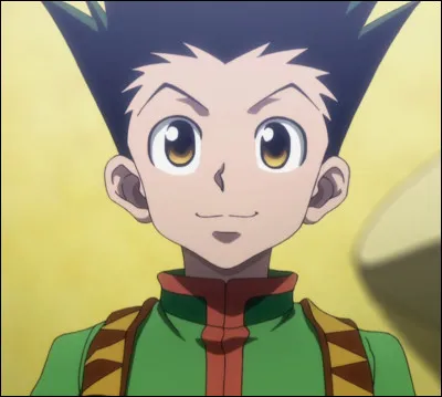 Pourquoi Gon veut-il devenir Hunter ?