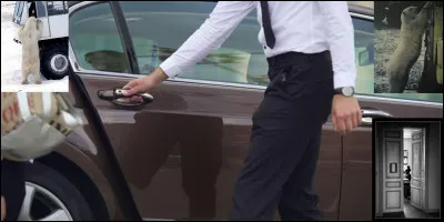 Si vous allez vous promener à Churchill, une petite commune de l'état du Manitoba, dans le grand nord canadien, surtout, n'oubliez pas que certaines mesures de sécurité sont à prévoir ! Vous et votre voiture sont concernées !
Que se passe-t-il ?