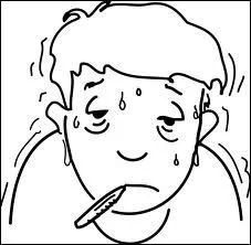 Plus de 56 000 maladies ont été amenées en Europe depuis 1968.