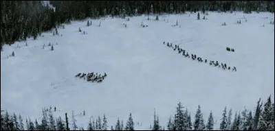 Cette image provient de :