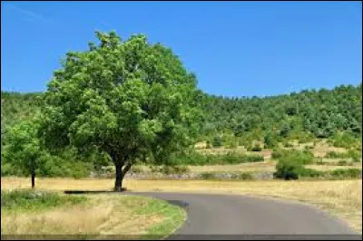 Le paysan .... assis sur le bord de la route.
