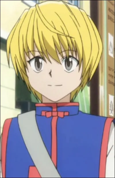 Pourquoi Kurapika suit-il Gon ?