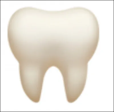 Quelle est la longueur d'une dent de ce requin ?