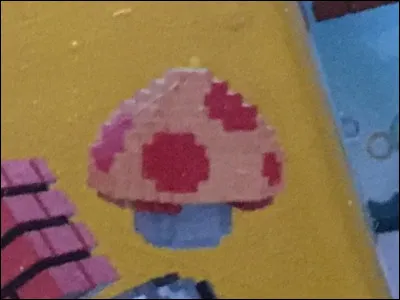 Comment s'appelle cette chose ?