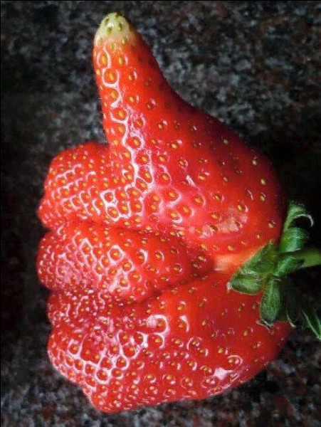 Cette fraise ressemble à une main. Quel doigt est-en l'air ?