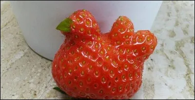 En quoi la fraise s'est-elle déguisée ?
