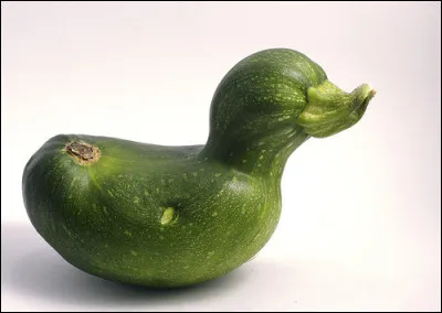 Quel légume se cache derrière ce canard ?